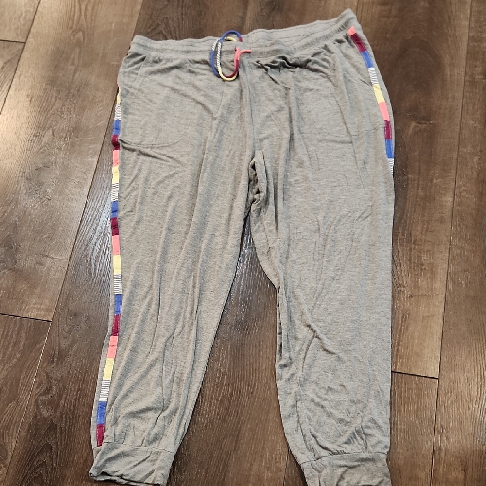 Gray Womens Jogger Pants with Colorful Stripes 2X